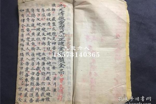 官符入命的深层含义与命理解析 官符入命的深层含义与命理解析