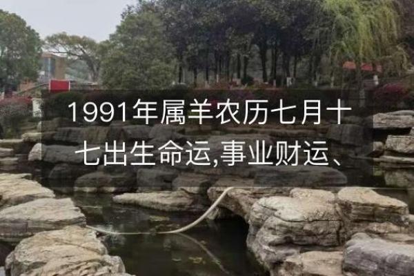 出生的人属羊,命运特点解析 出生的人属羊,命运特点解析