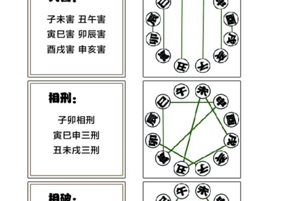 子午相冲与生肖的关系解析:哪些生肖受其影响最大 子午相冲与生肖的关系解析:哪些生肖受其影响最大