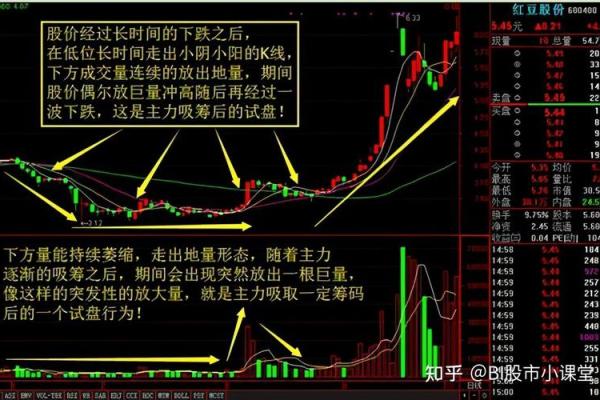 探秘未时末运势:运势走势揭秘 探秘未时末运势:运势走势揭秘