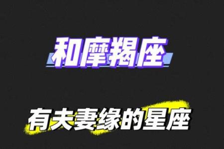 从配对指数看摩羯座的理想伴侣