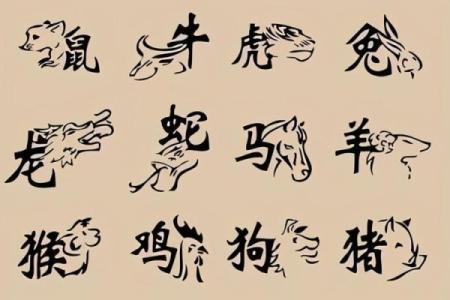 子午相冲与生肖的关系解析：哪些生肖受其影响最大