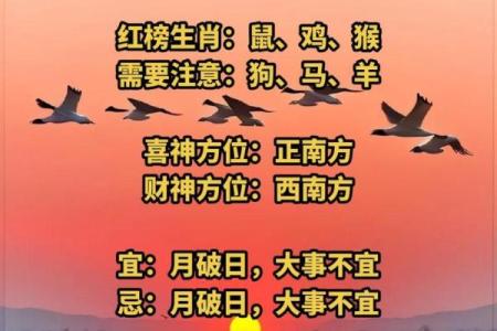 每日家居风水解读：装饰与布局提升家庭运势