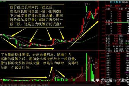 探秘未时末运势：运势走势揭秘