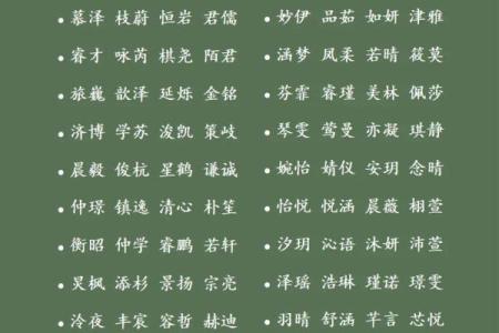 为鸡宝宝取个好名字，带来好运与快乐