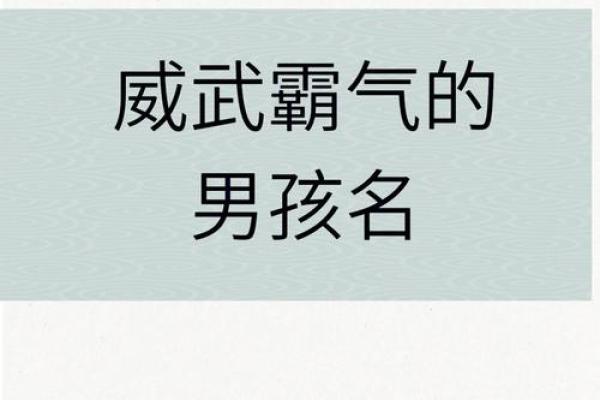 男生霸气名字推荐,给你无限魅力与威严 男生霸气名字推荐,给你无限魅力与威严