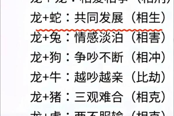 十二生肖最佳伴侣选择:你与谁最有缘 十二生肖最佳伴侣选择:你与谁最有缘