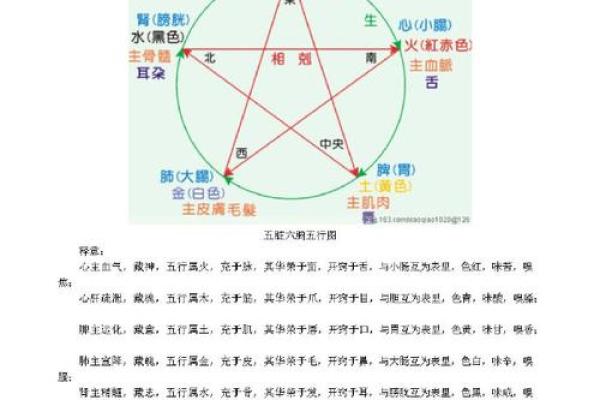格五行属与命理解析:揭开个性与运势的秘密 格五行属与命理解析:揭开个性与运势的秘密