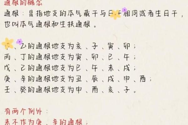 学八字入门:初学者必备的基础知识与技巧 学八字入门:初学者必备的基础知识与技巧