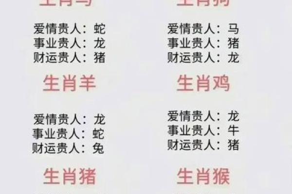 属哪个生肖?详解生肖特点 属哪个生肖?详解生肖特点