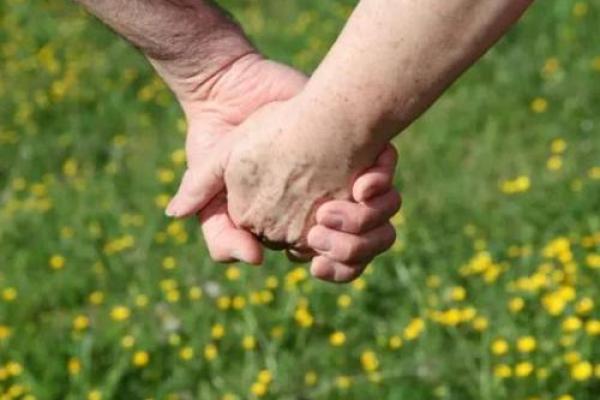 男虎与女猴婚姻幸福指数解析 男虎与女猴婚姻幸福指数解析