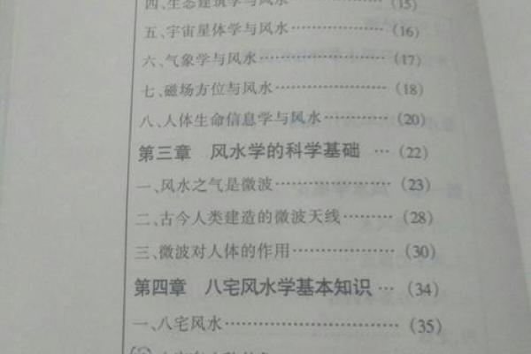 慧缘风水与事业运:打造成功的职场环境 慧缘风水与事业运:打造成功的职场环境