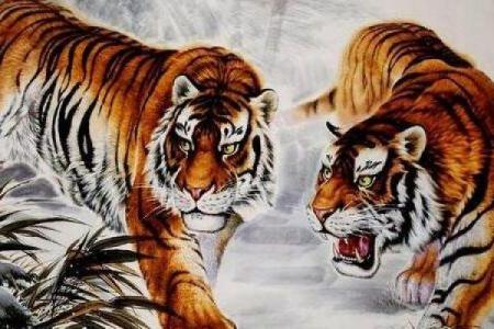 男虎与女猴婚姻幸福指数解析