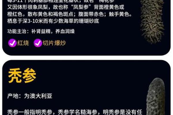 海参名字大全:你不知道的海参种类 海参名字大全:你不知道的海参种类