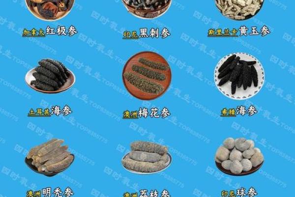 海参名字大全:你不知道的海参种类 海参名字大全:你不知道的海参种类