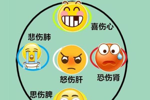 五行与情志的深刻联系:探索五行对情绪与心理的影响 五行与情志的深刻联系:探索五行对情绪与心理的影响
