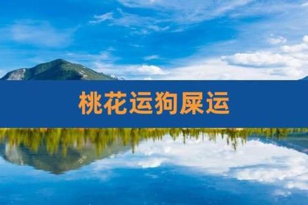 桃花与生肖的神秘联系:揭秘桃花代表的生肖寓意 桃花与生肖的神秘联系:揭秘桃花代表的生肖寓意