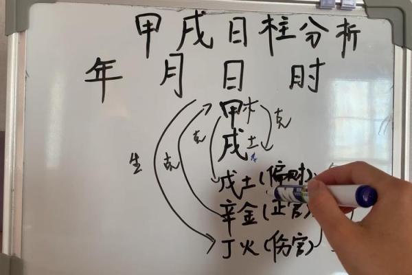 影响八字日柱的五行能量分析 影响八字日柱的五行能量分析
