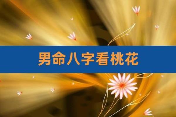八字桃花运与情感纠葛的背后秘密