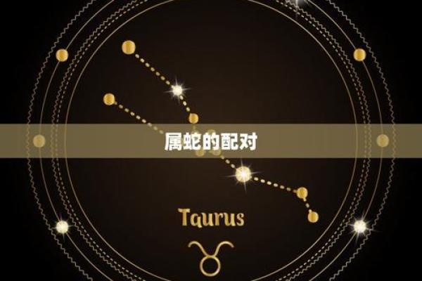 肖配对指南:哪些组合最为和谐与互补 肖配对指南:哪些组合最为和谐与互补