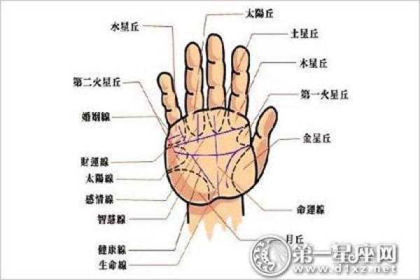 从名字看运势:改名能否改变人生轨迹 从名字看运势:改名能否改变人生轨迹