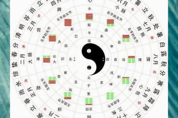 五行命理:解析不同五行属性对命运的影响 五行命理:解析不同五行属性对命运的影响