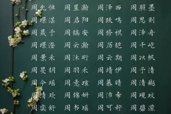 给周姓宝宝取名,寓意与音韵的完美结合 给周姓宝宝取名,寓意与音韵的完美结合