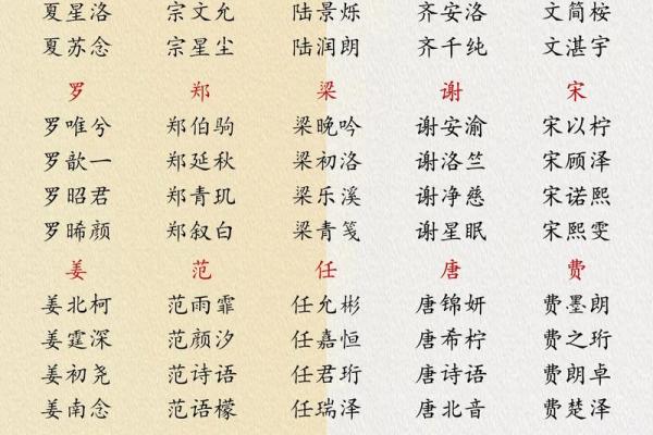 鼠年男宝宝起名：为孩子挑选合适的名字