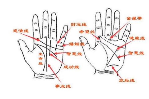手掌纹路与富贵命的关系解析 手掌纹路与富贵命的关系解析
