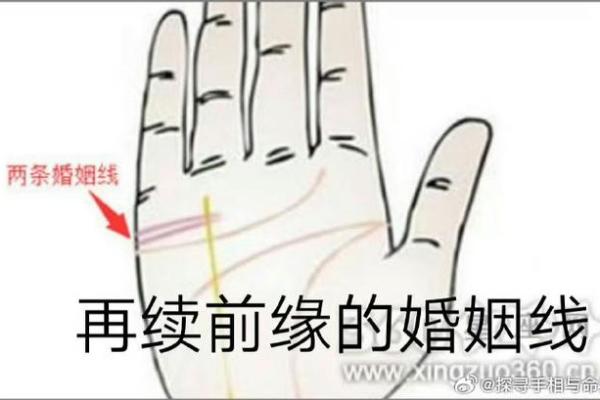 手掌纹路与富贵命的关系解析 手掌纹路与富贵命的关系解析