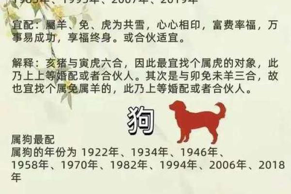 属相配对:如何根据生肖找到最合适的伴侣 属相配对:如何根据生肖找到最合适的伴侣