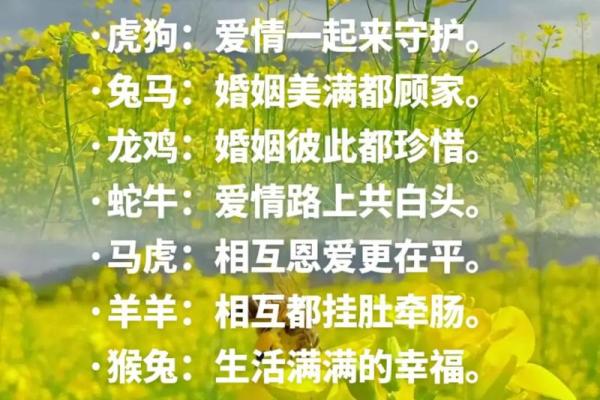 属相配对:如何根据生肖找到最合适的伴侣 属相配对:如何根据生肖找到最合适的伴侣