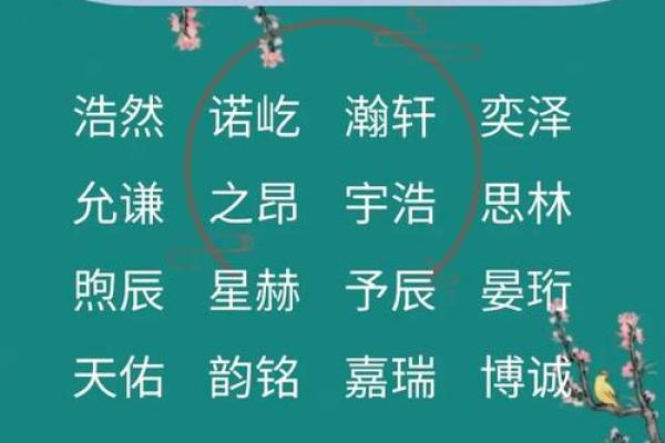 虎年出生的人命运特点解析 虎年出生的人命运特点解析