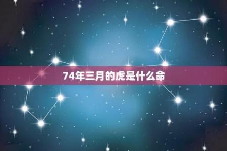虎属水命的出生年份及其性格解析