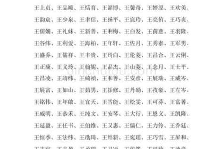 发字辈男孩名字的寓意与选择指南
