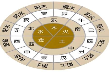 五行命理：解析不同五行属性对命运的影响