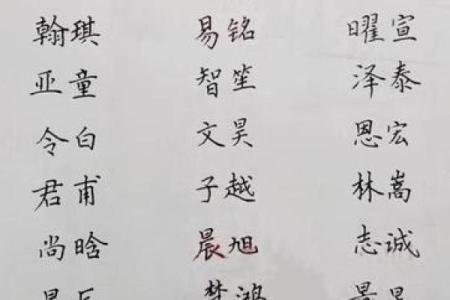 从生肖特点出发 鸡年宝宝名字推荐与解析