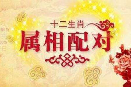 免费属相配对测试 揭示最佳伴侣选择