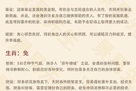 今日生肖运势查询：发现你的一天将如何展开