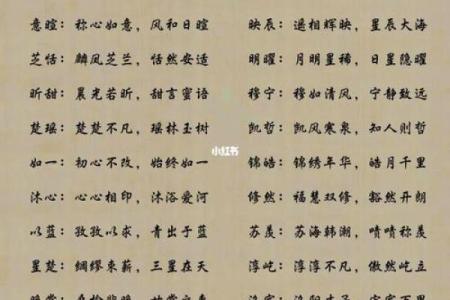 最受欢迎的女宝宝名字推荐及其含义