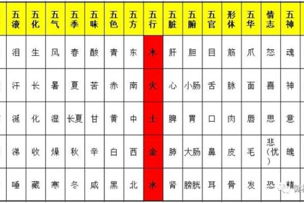 如何通过出生日期免费查询八字五行 如何通过出生日期免费查询八字五行