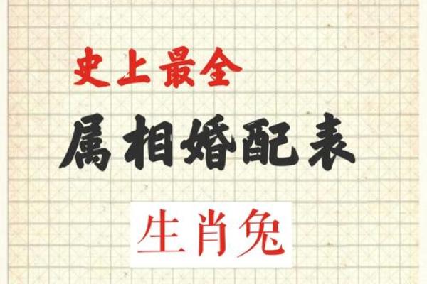 夜肖对应的生肖有哪些?揭秘夜晚出生的人属相解析 夜肖对应的生肖有哪些?揭秘夜晚出生的人属相解析