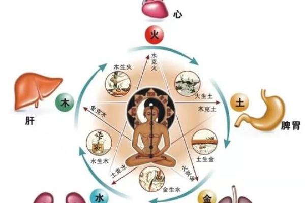 相属相配表解析:五行配对与命理关系深度剖析 相属相配表解析:五行配对与命理关系深度剖析