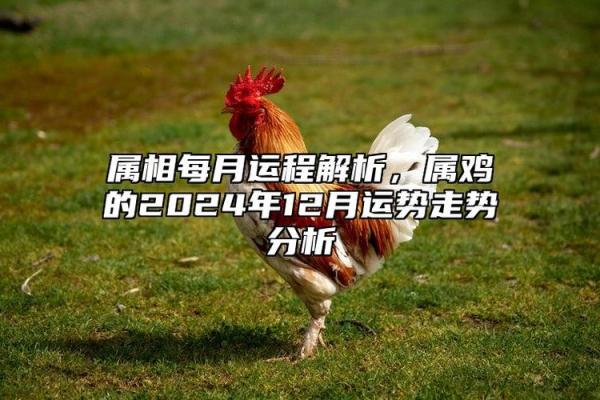 探究木命属相:影响性格与运势的关键因素 探究木命属相:影响性格与运势的关键因素