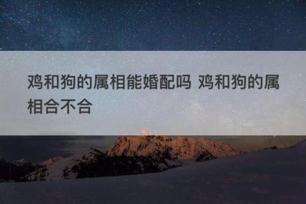 缘分解析:龙蛇组合适合婚姻生活吗 缘分解析:龙蛇组合适合婚姻生活吗