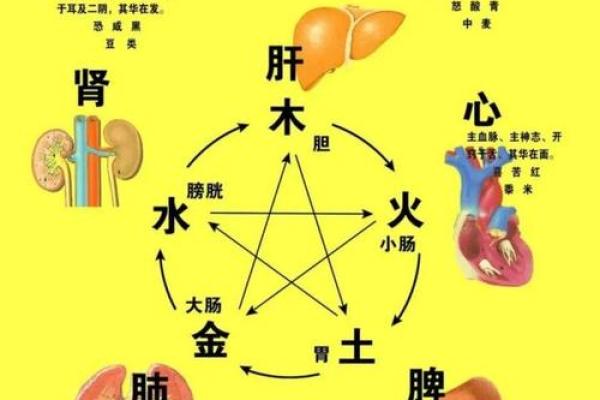 五行中的五种属性与其对应的事物解析 五行中的五种属性与其对应的事物解析