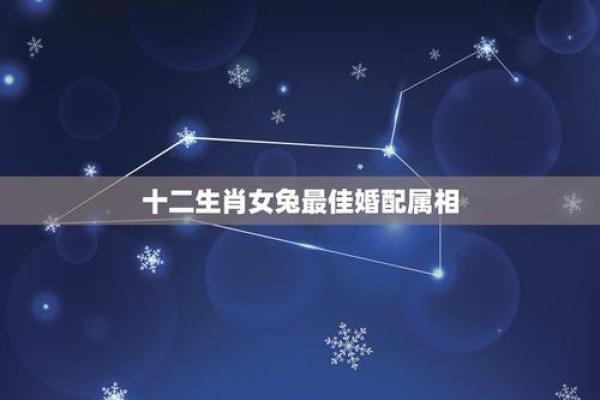 属兔人的最佳配对组合解析 属兔人的最佳配对组合解析