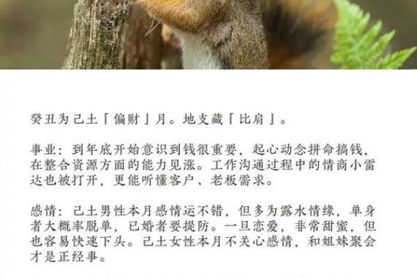 土命人如何提升运势 土命人如何提升运势