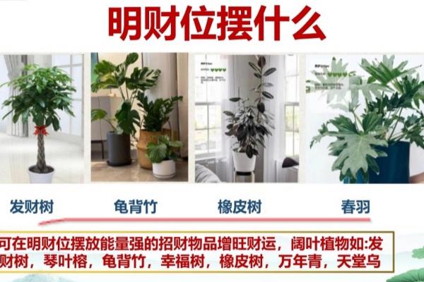 如何利用风水财位提升财运和事业运 如何利用风水财位提升财运和事业运