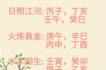 甲子日柱在命理中对婚姻的深刻影响